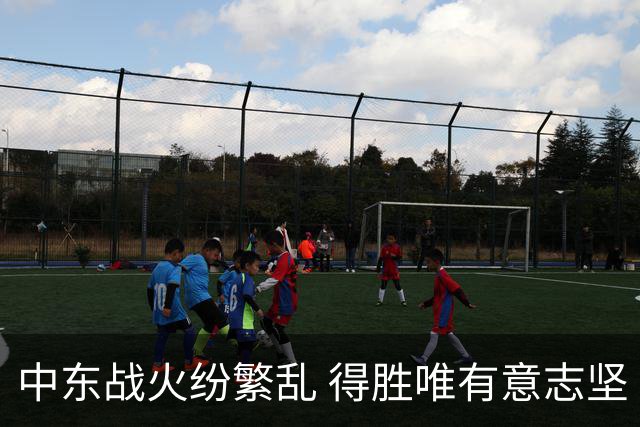 中东战火纷繁乱 得胜唯有意志坚
