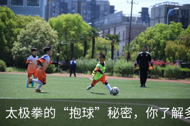 太极拳的“抱球”秘密，你了解多少？