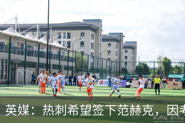 英媒：热刺希望签下范赫克，因考虑其与德泽尔比交情